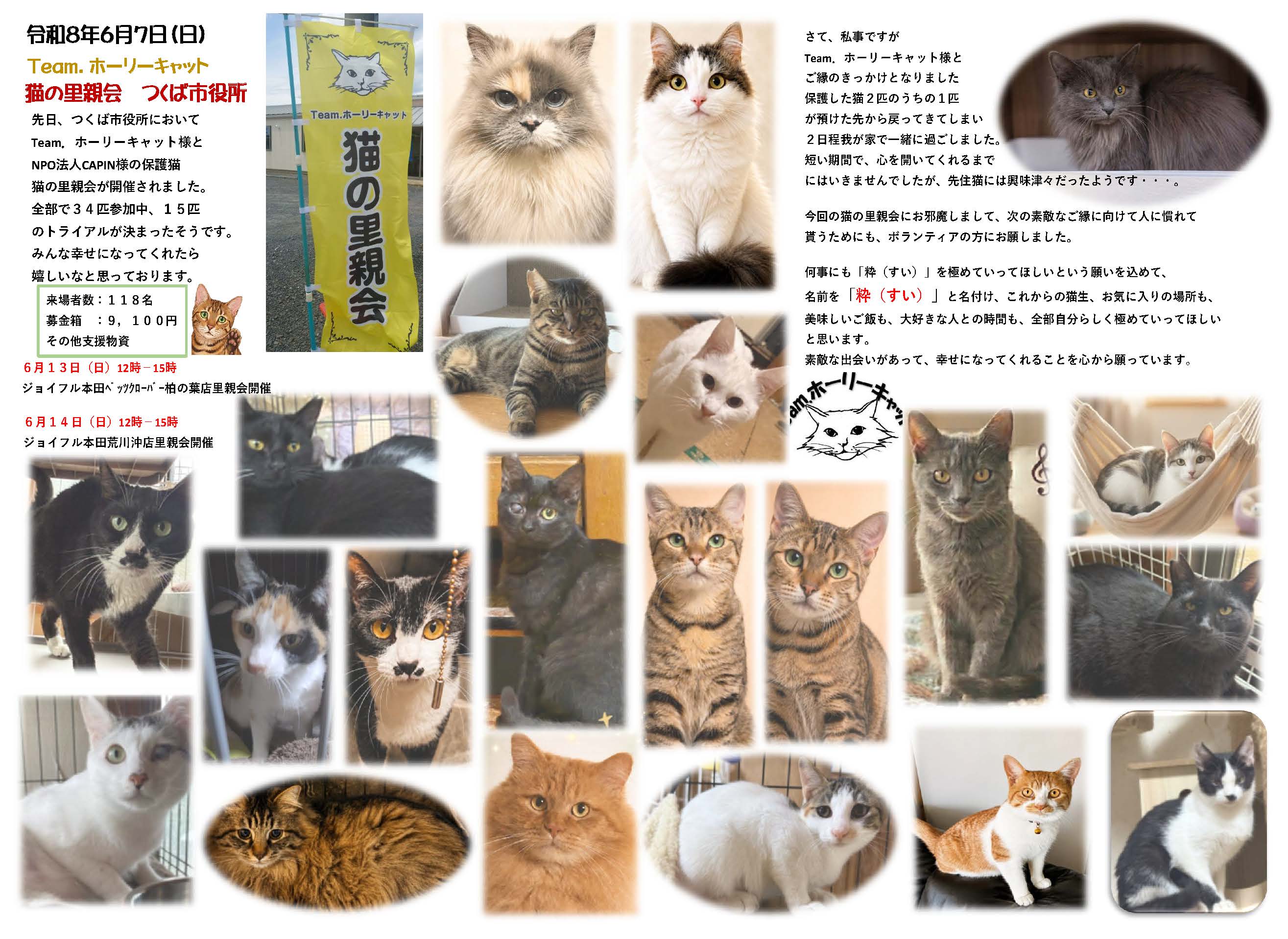 つくば猫の里親会_ページ_1